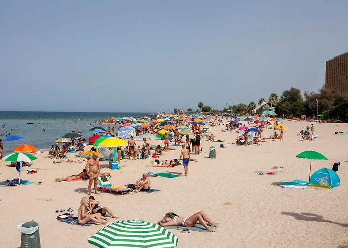 Pane & Pomodoro Roomy Flat Appartamento *